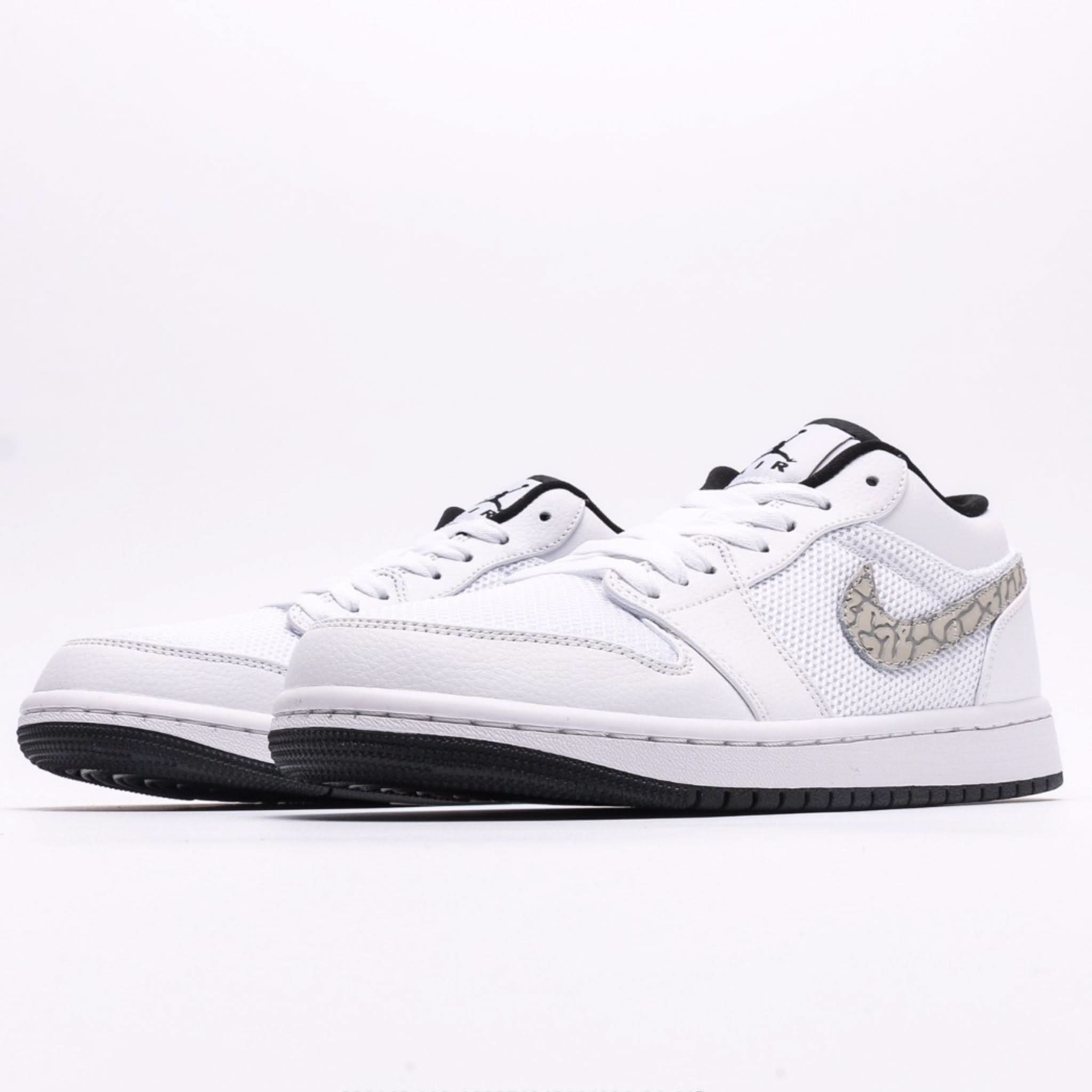 Air Jordan 1 Low Path