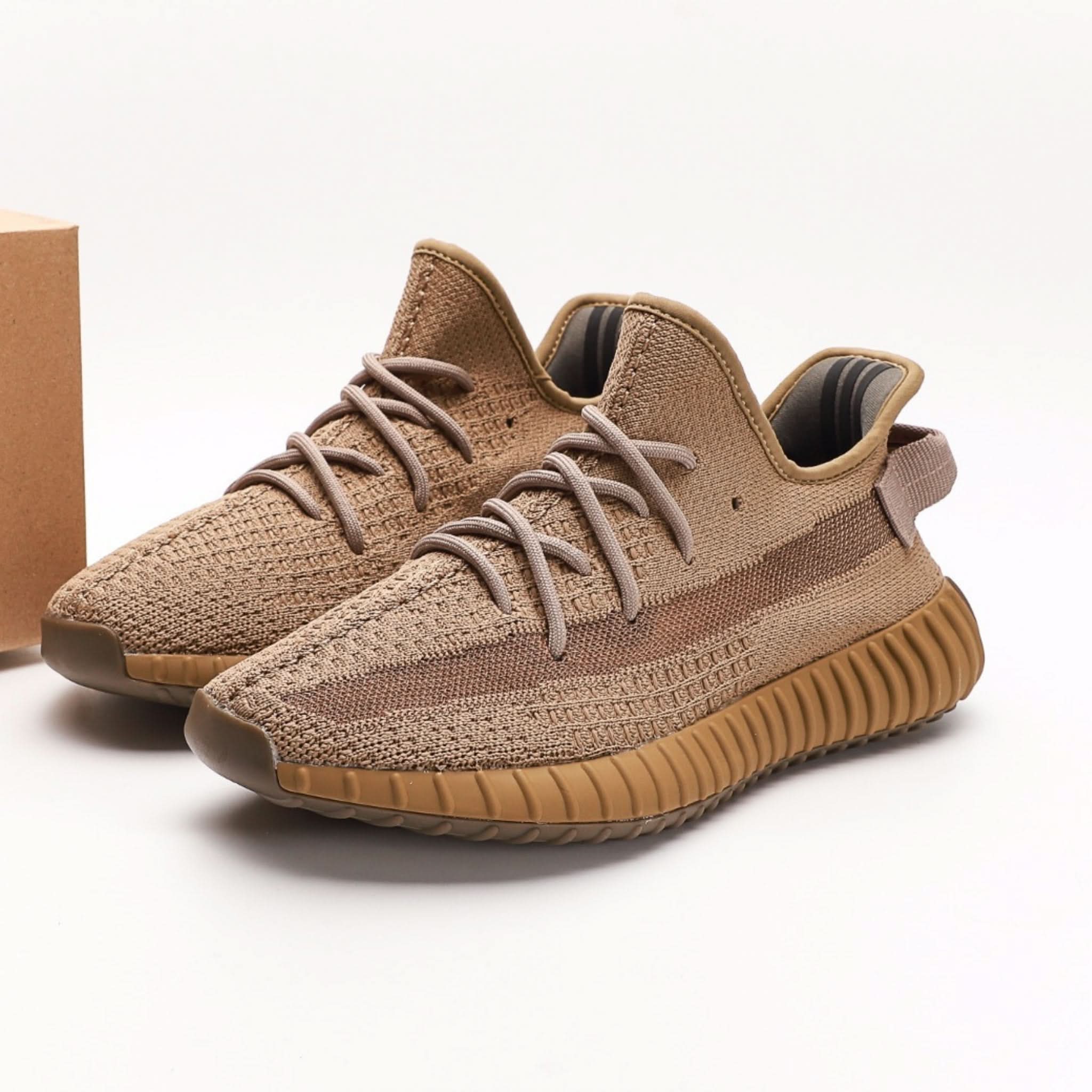Adidas Yeezy Boost 350 V2 Terre