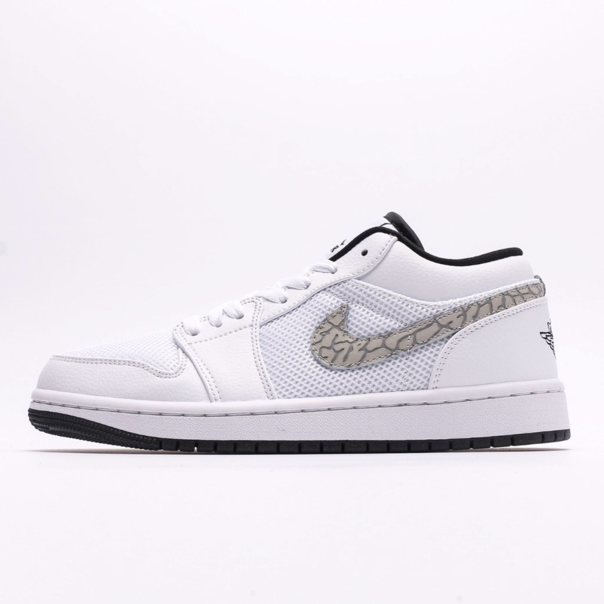 Air Jordan 1 Low Path